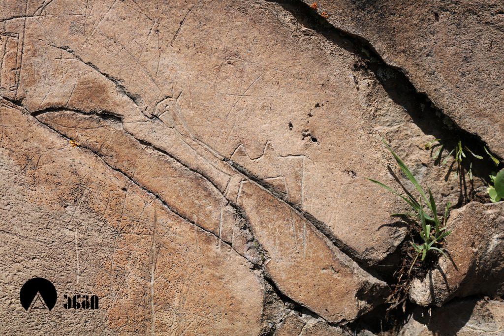 თრიალეთის პეტროგლიფები