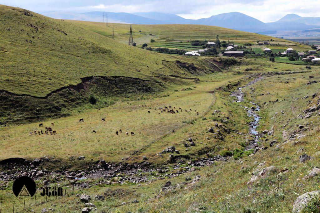 თრიალეთის პეტროგლიფები