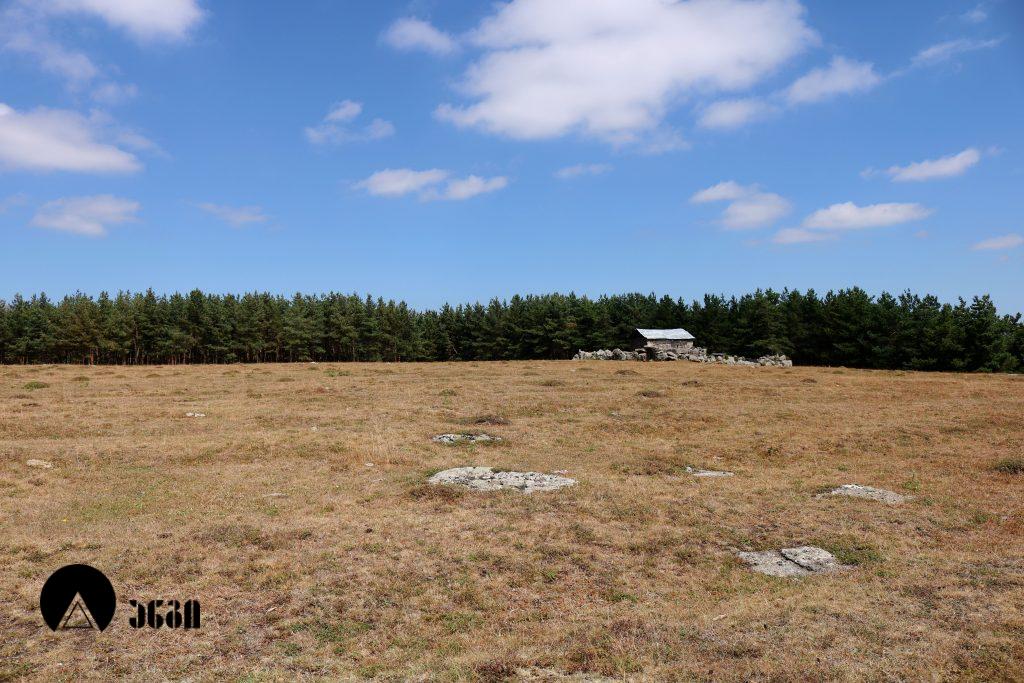 თეჯისის აია კონსტანტინი