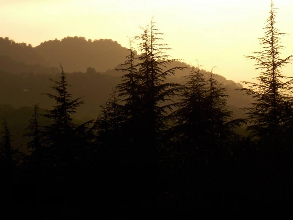 ერკეთის ეკლესია