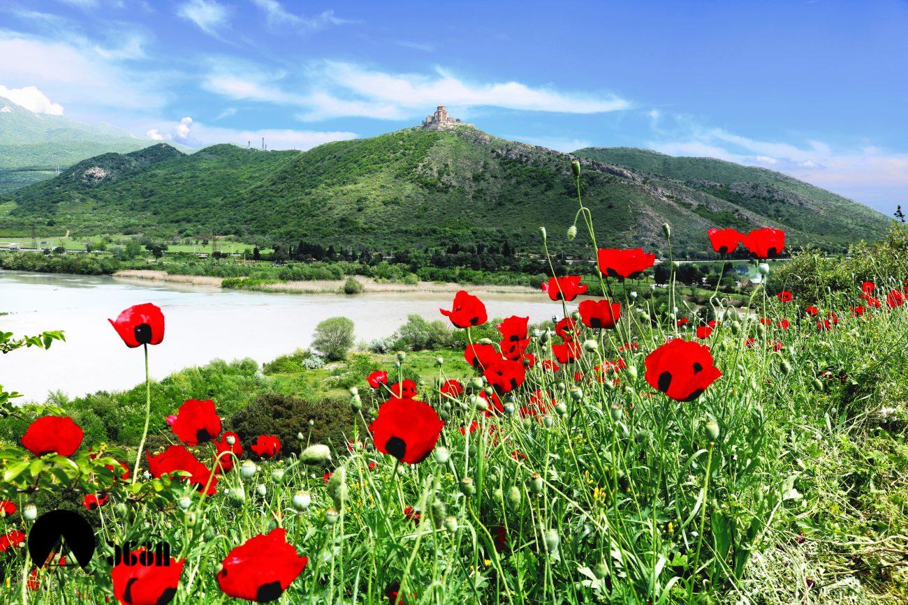 არმაზციხე