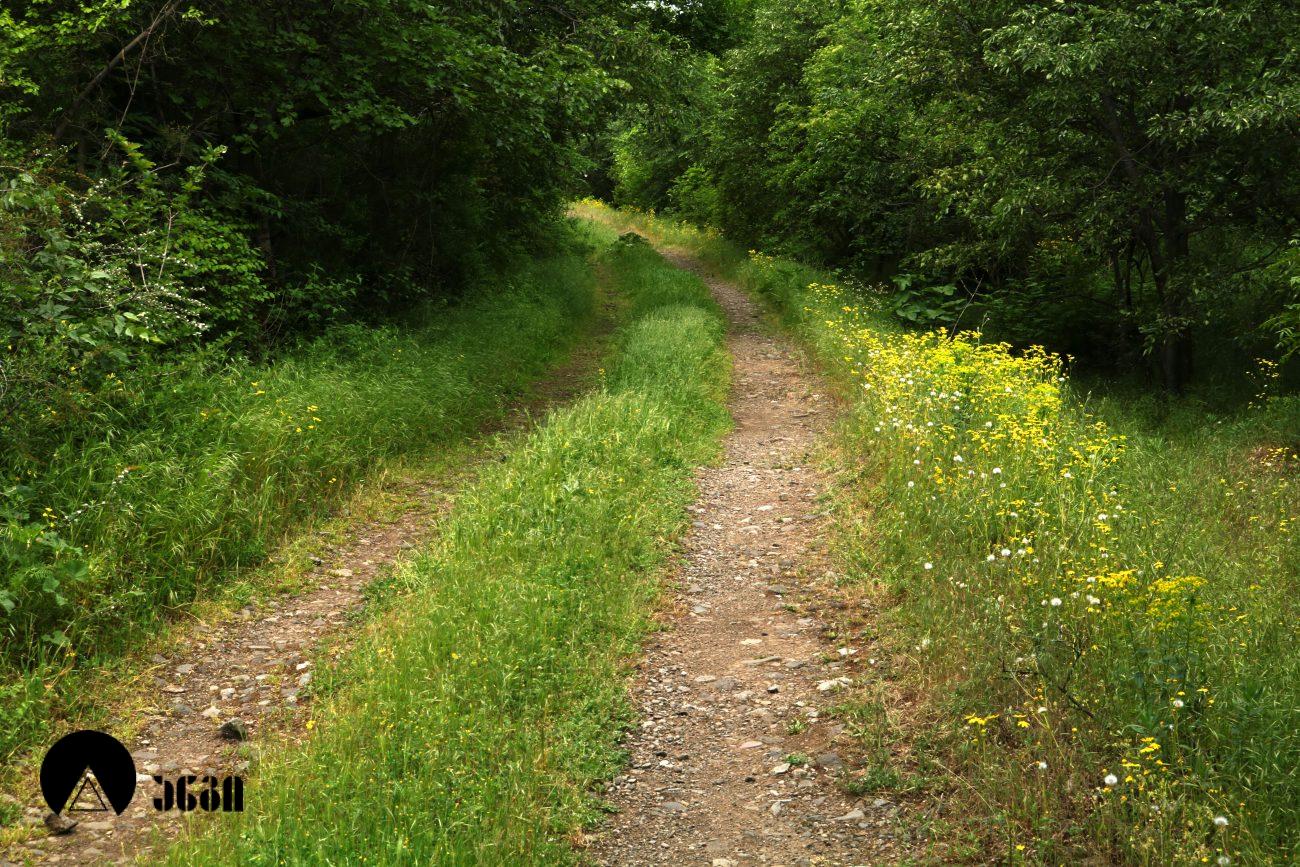 არმაზციხე