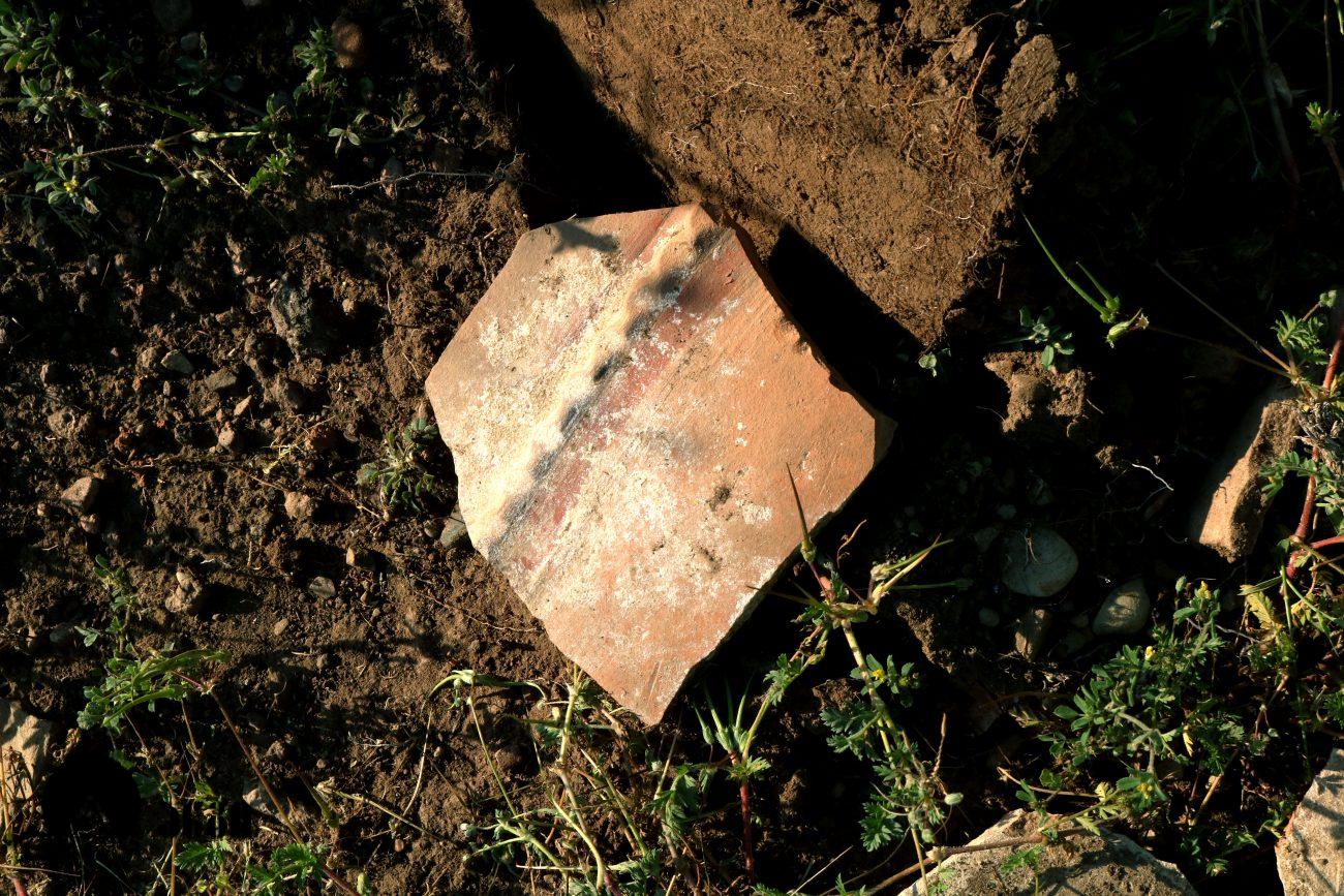 თრელიგორები