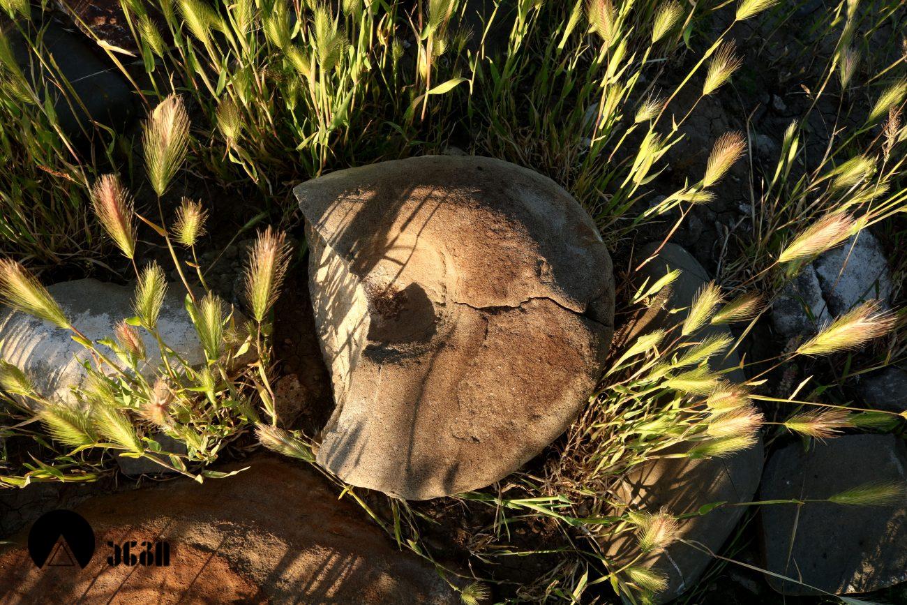 თრელიგორები