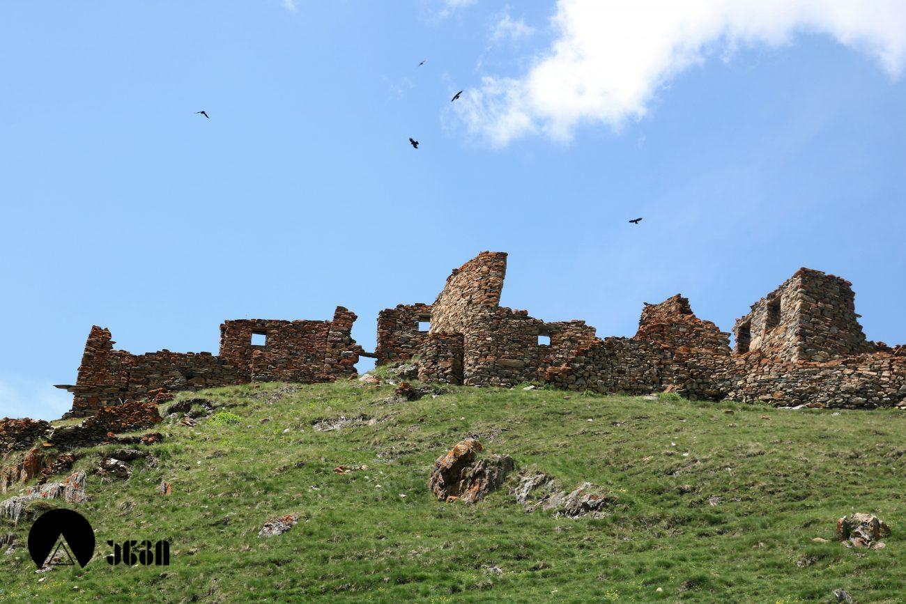 ზაქაგორი