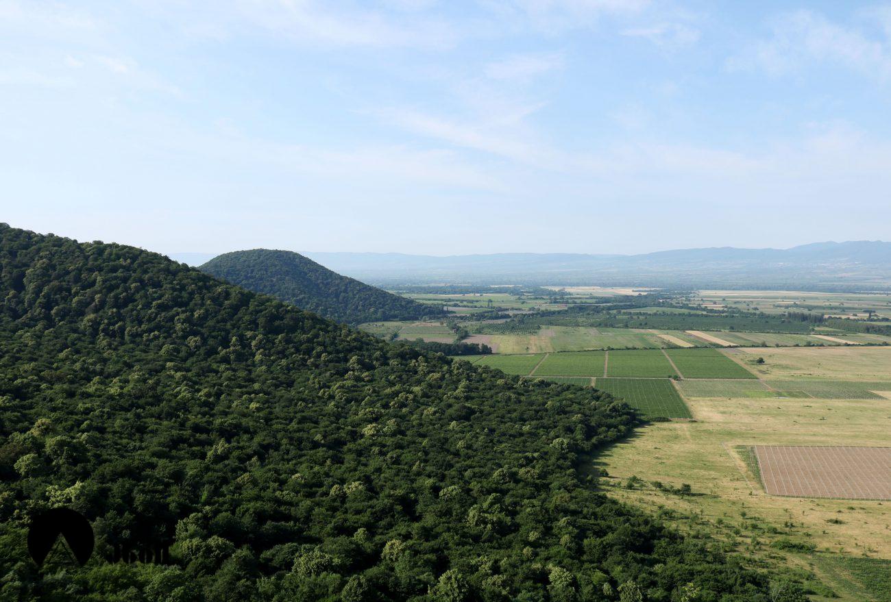 ნეკრესის მონასტერი