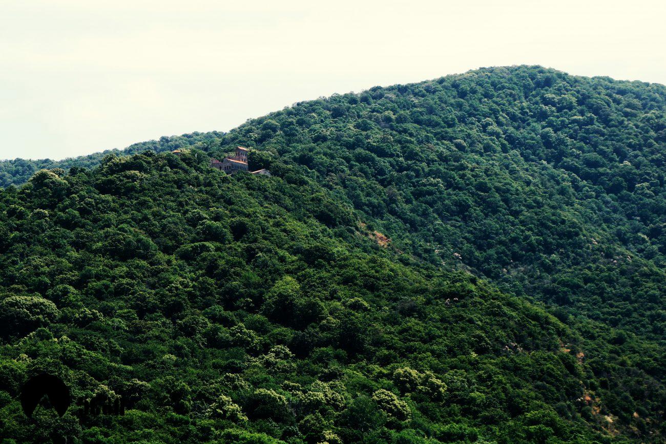 ნეკრესის მონასტერი