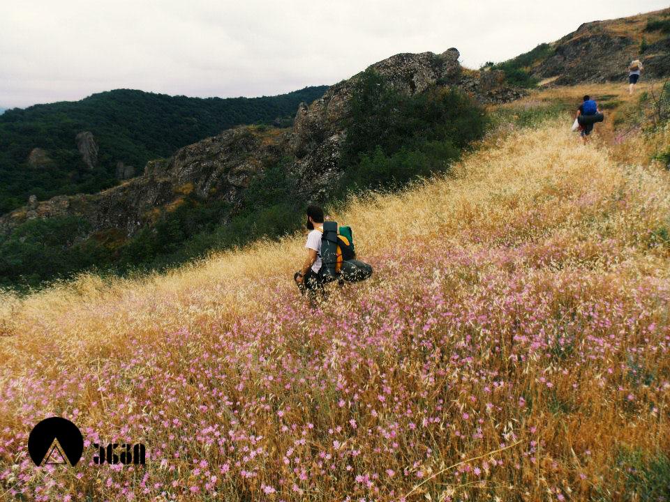 ბირთვისის ციხე