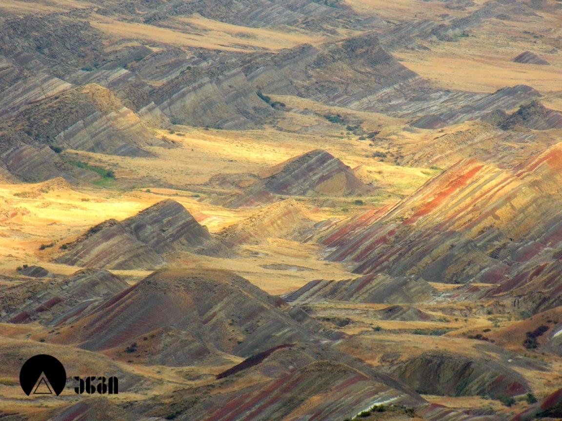 დავით გარეჯი