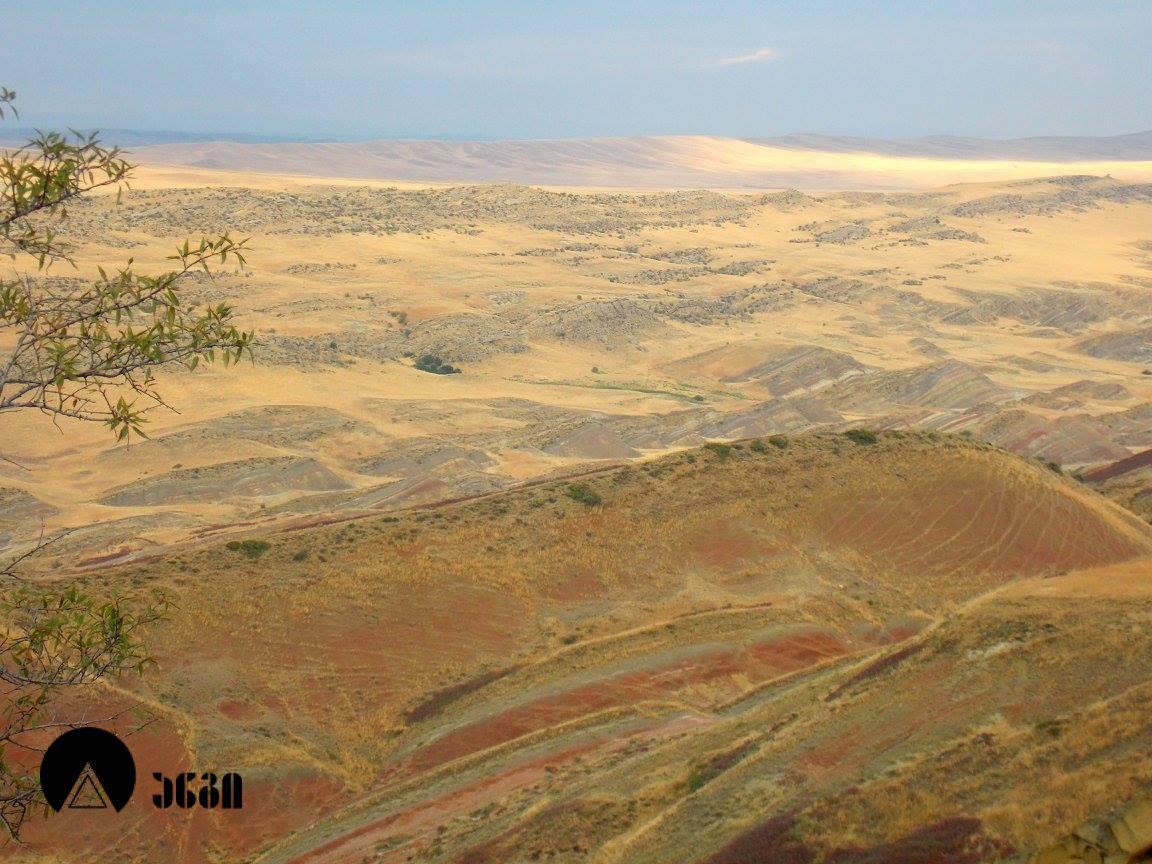 დავით გარეჯი