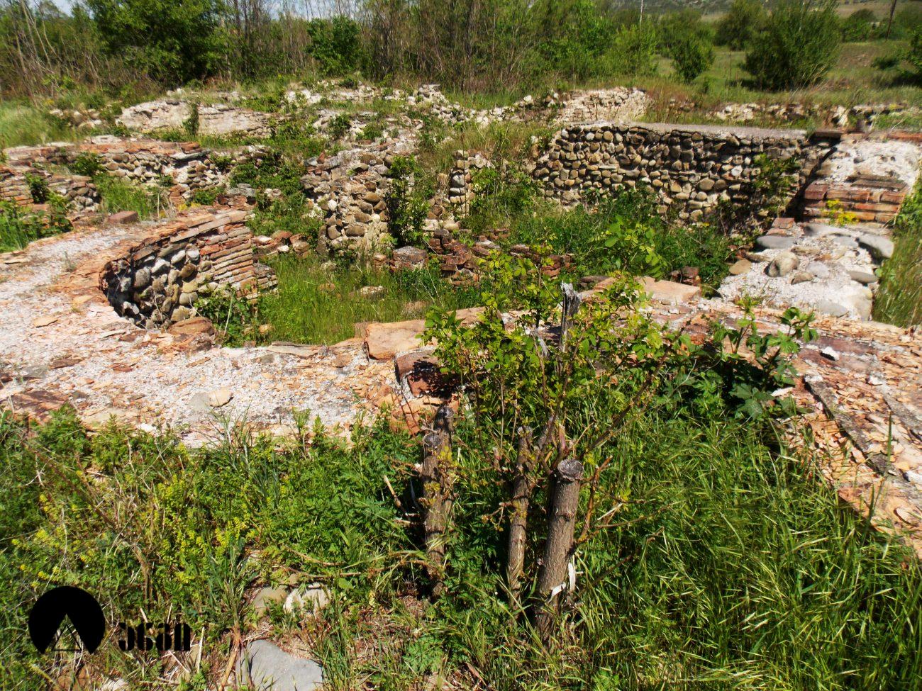 ძალისის ნაქალაქარი