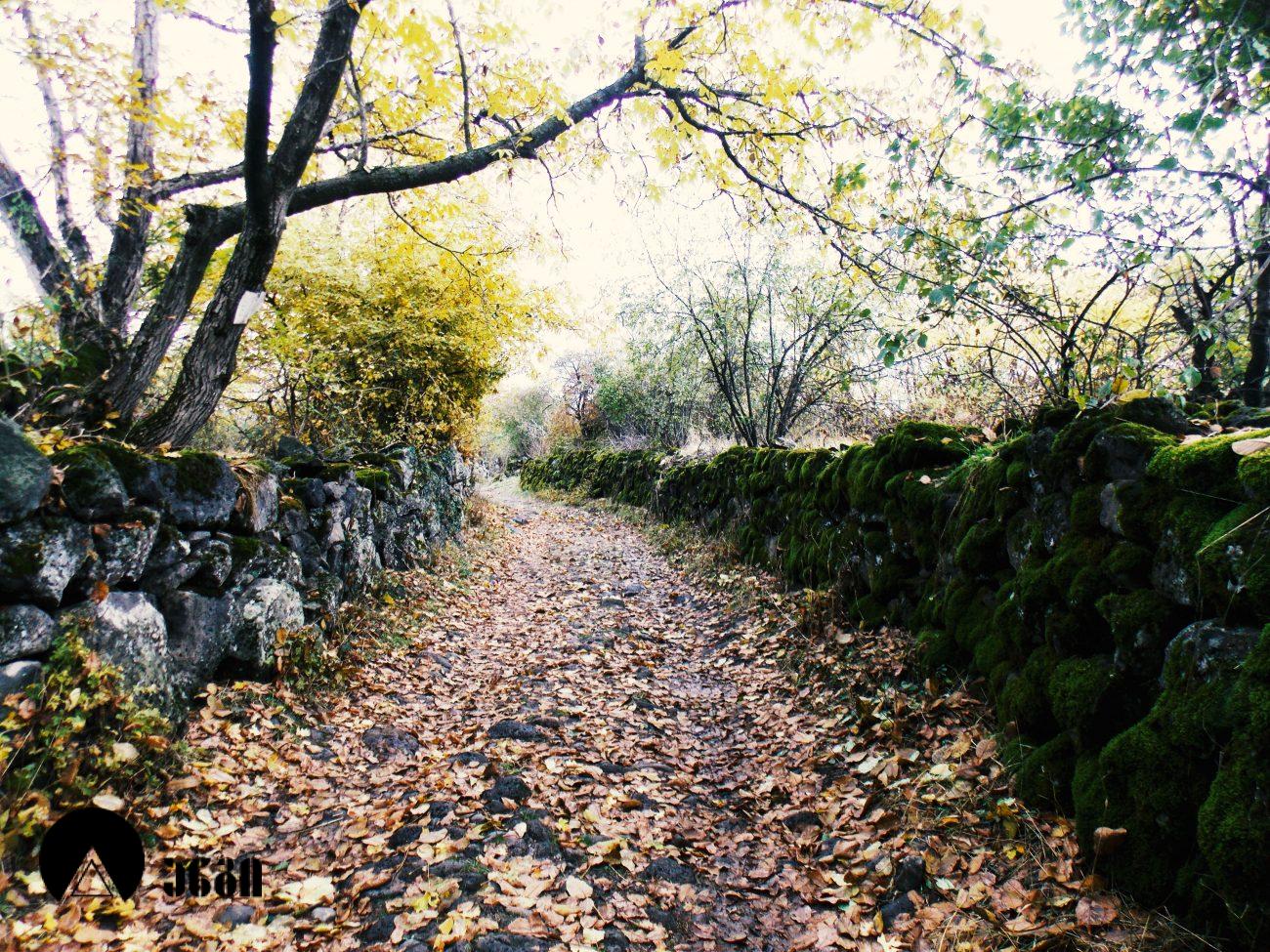 სამშვილდის ნაქალაქარი