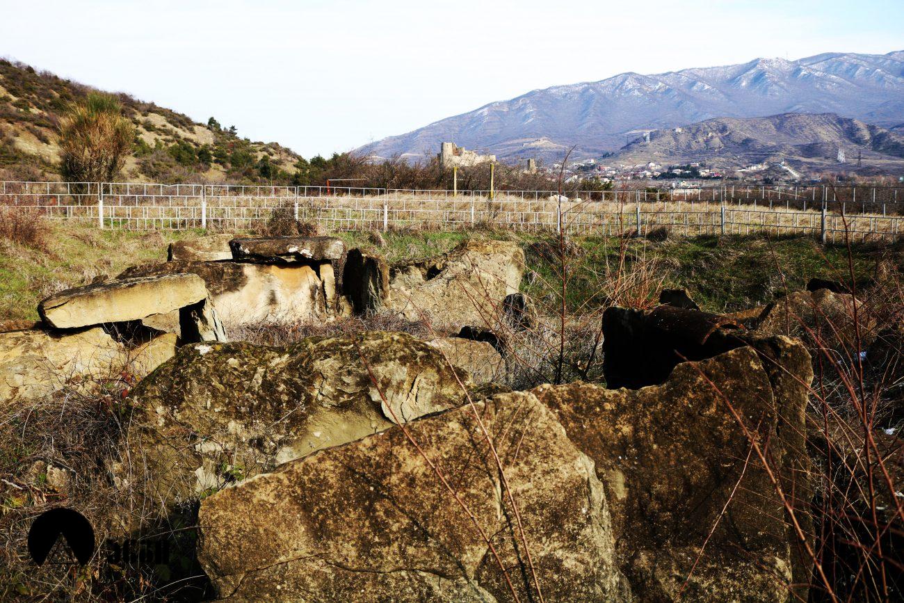 ბებრის ციხე