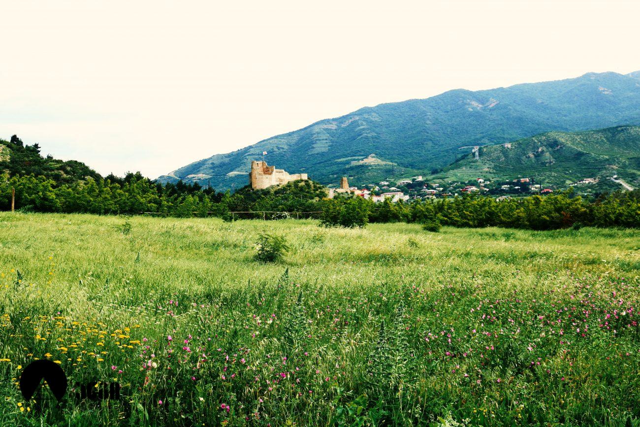 ბებრის ციხე