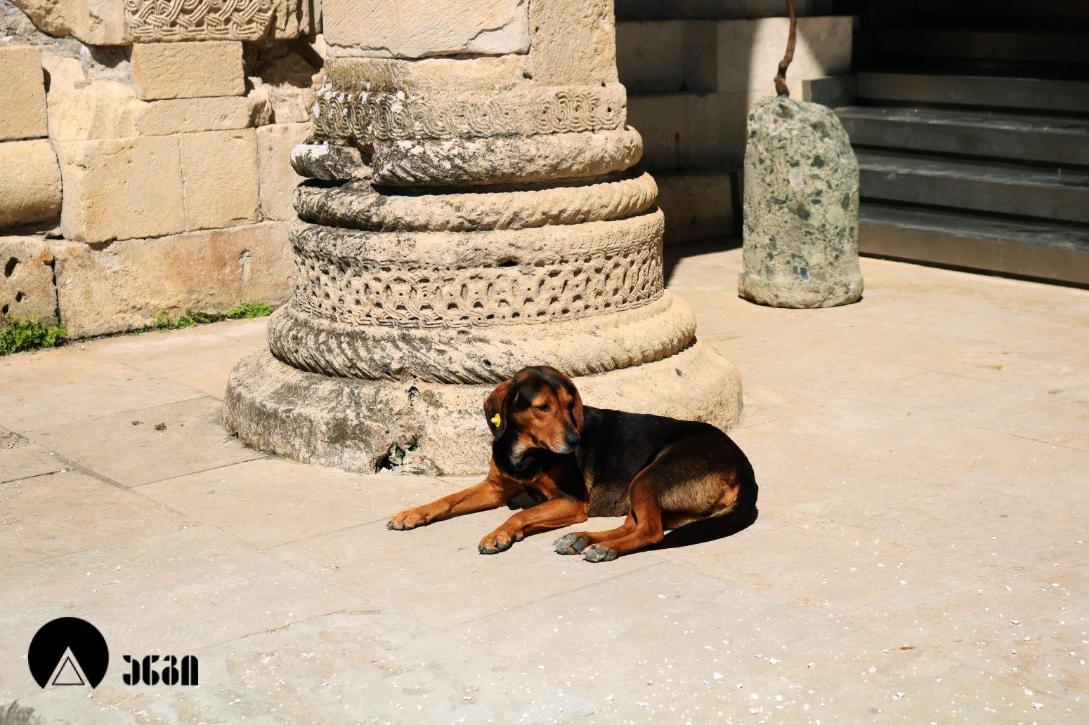 ბაგრატის ტაძარი
