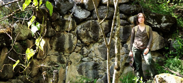 დაღეთის მეგალითური კომპლექსი დაღეთის მეგალითური კომპლექსი