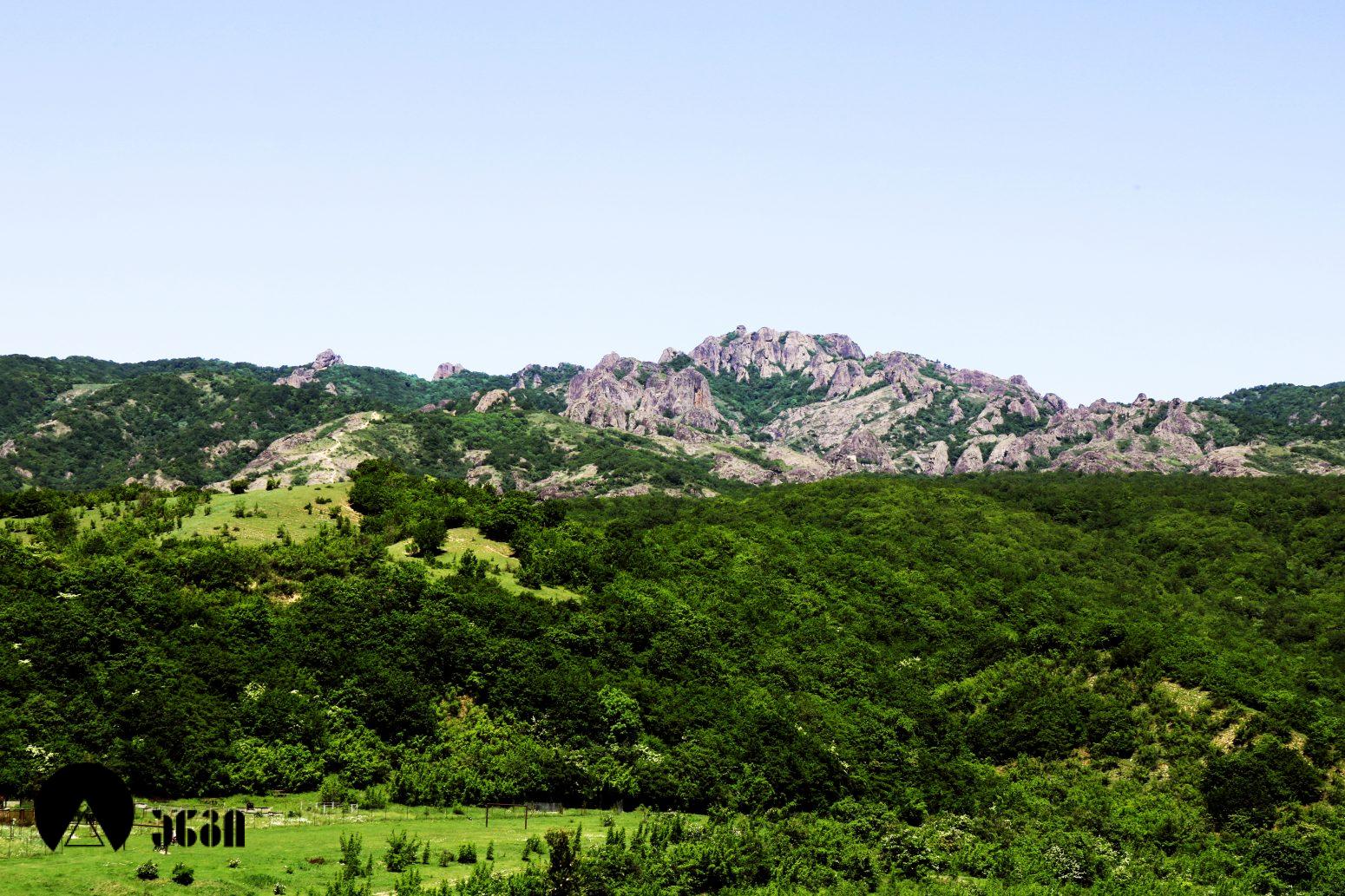 ბირთვისის ციხე