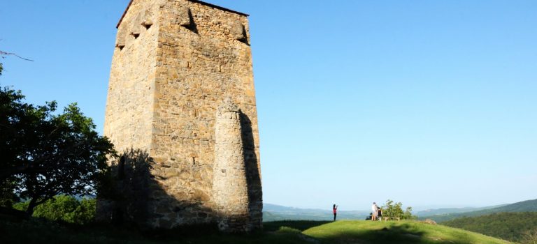 გუდარეხის კოშკი გუდარეხის კოშკი