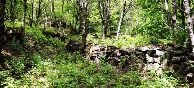 პატარა კლდეისის ნამოსახლარი პატარა კლდეისის ნამოსახლარი