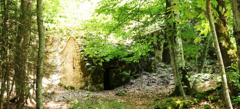 ქაჩალაურის ციხე-კომპლექსი ქაჩალაურის ციხე-კომპლექსი