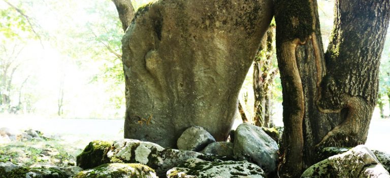 ჭივჭავის მენჰირი ჭივჭავის მენჰირი