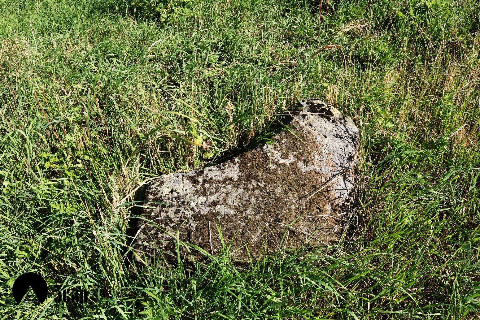 ნადარბაზევის სასახლის კომპლექსი