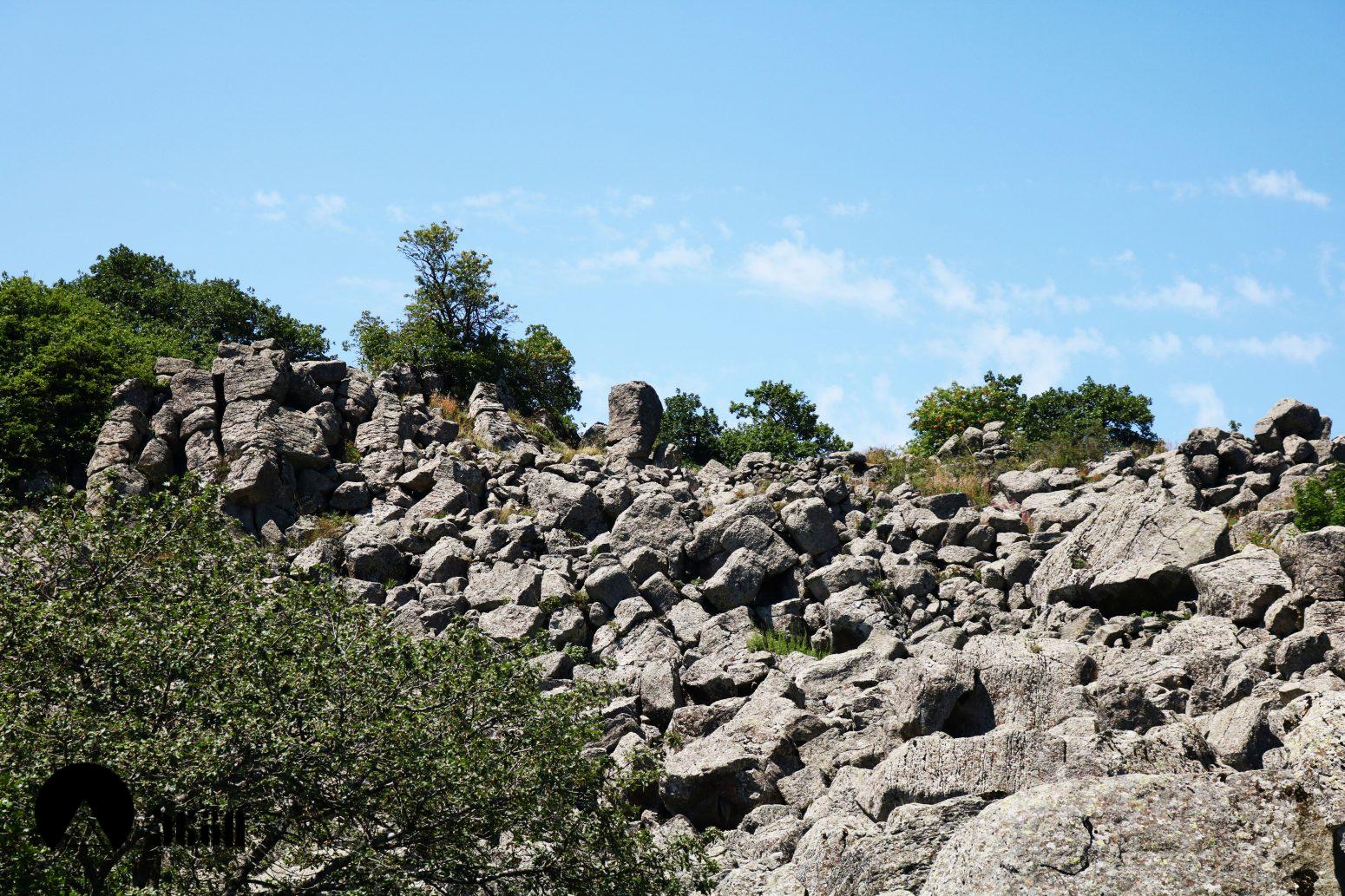 გოხნარის ლოდოვანი