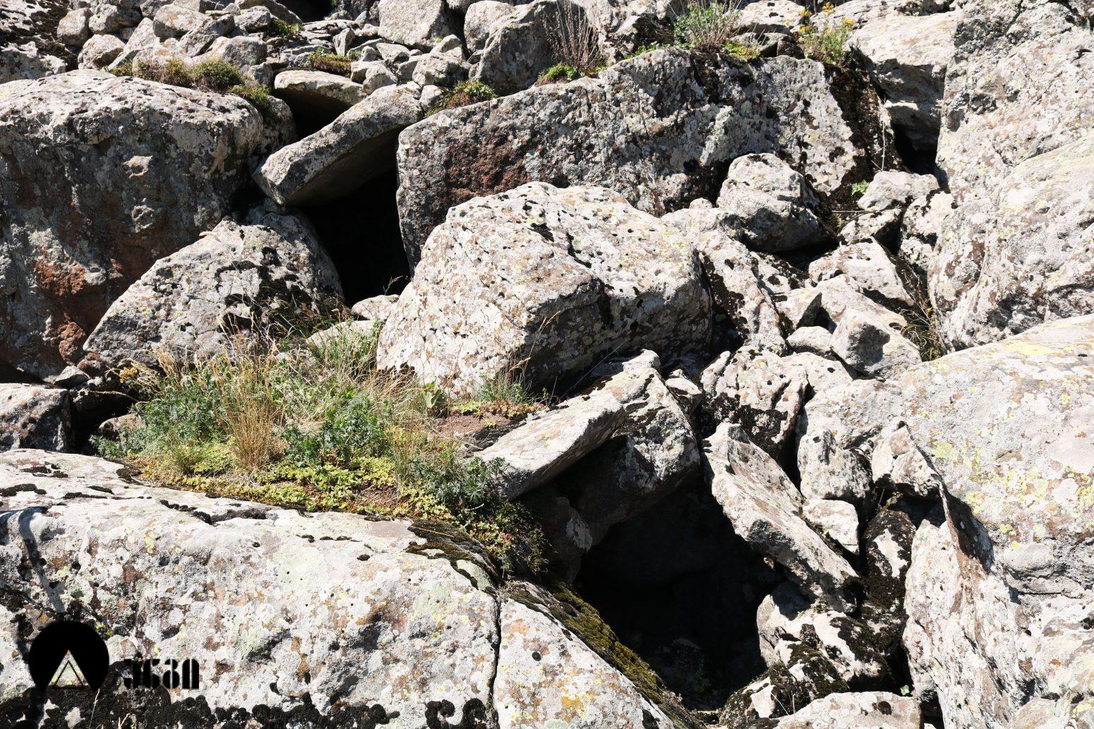 გოხნარის ლოდოვანი