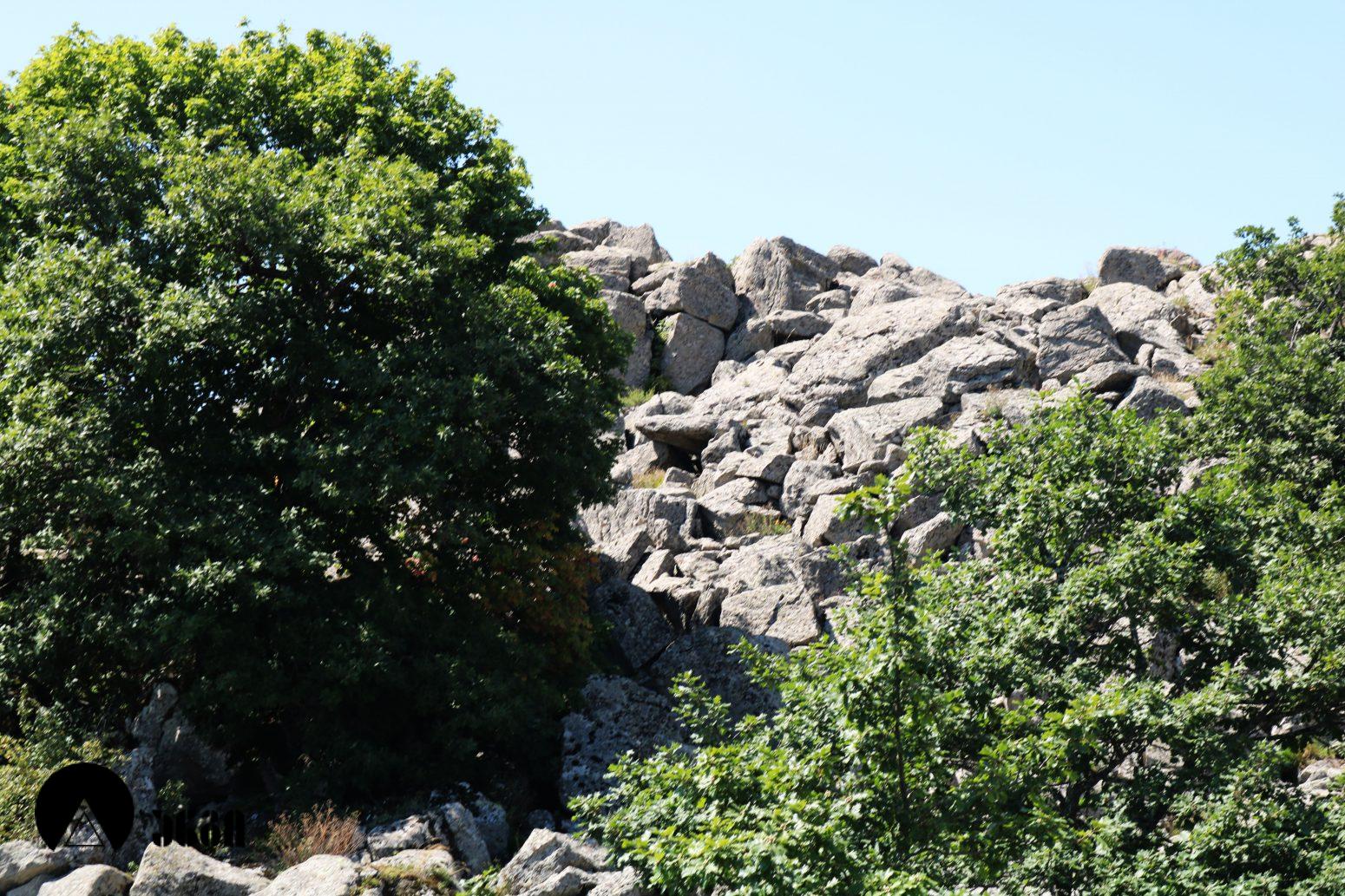 გოხნარის ლოდოვანი