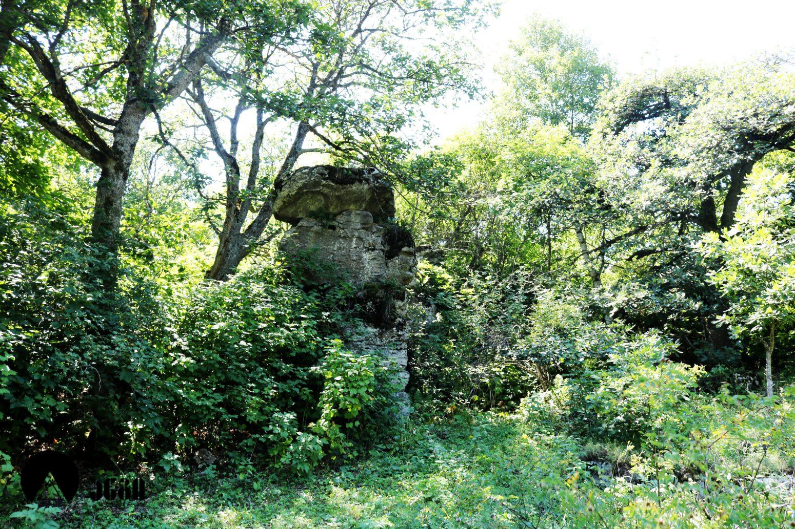 გოხნარის ლოდოვანი