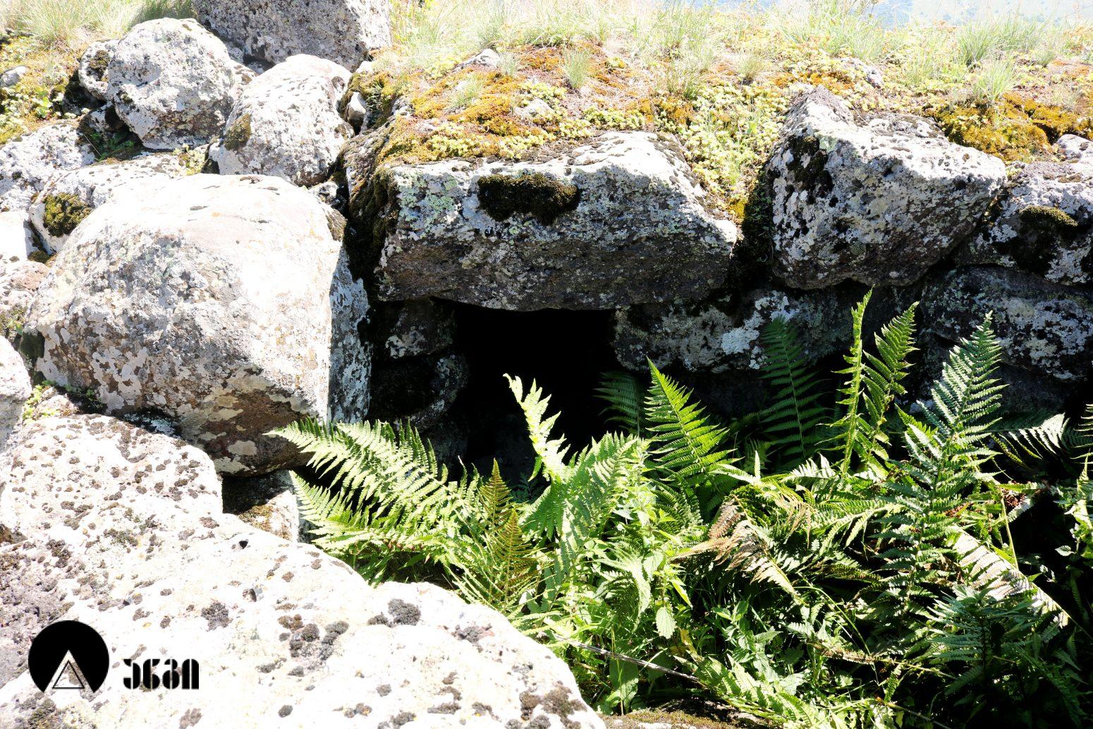 გოხნარის ლოდოვანი