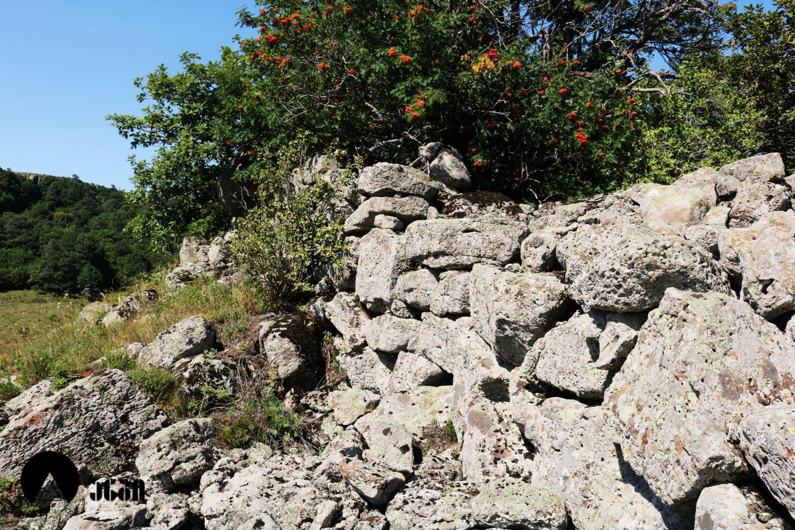 გოხნარის ლოდოვანი