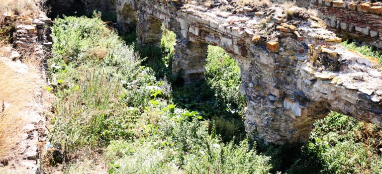 ფარავნის ქარვასლა ფარავნის ქარვასლა