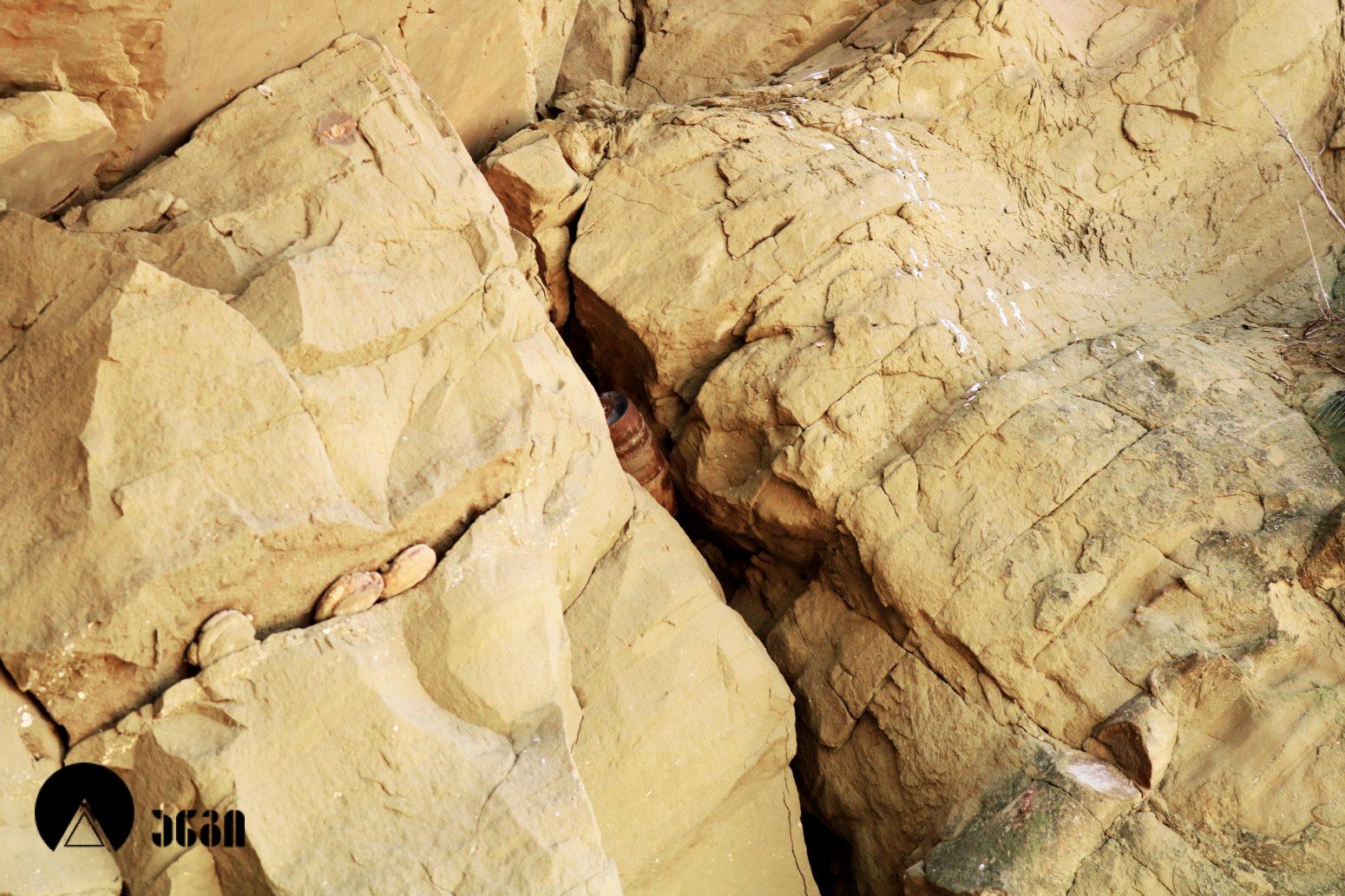 გარეჯის წამებულის მონასტერი