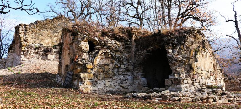 არხალის კომპლექსი (კვირიას/დულუზაურების კომპლექსი) არხალის კომპლექსი (კვირიას/დულუზაურების კომპლექსი)