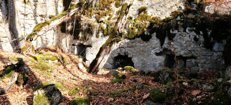 ბადაანის ცხრაკარა ბადაანის ცხრაკარა