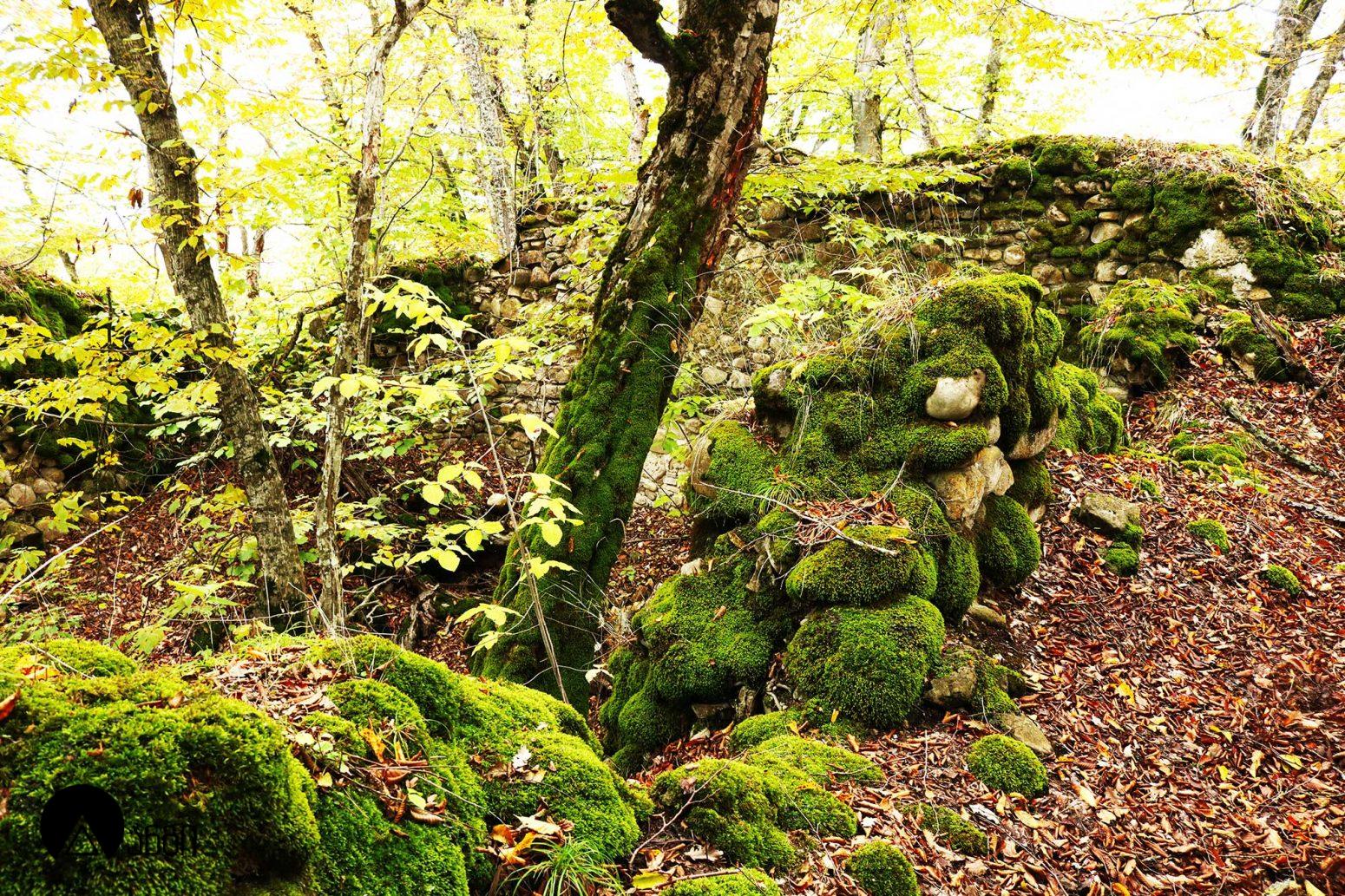 ბადაანის ცხრაკარა