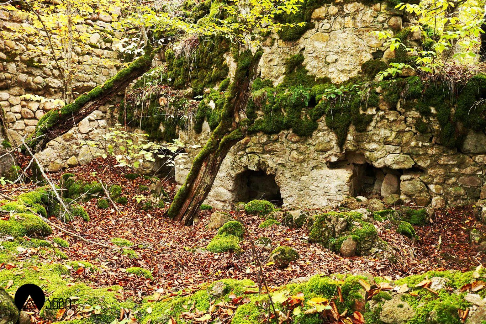 ბადაანის ცხრაკარა