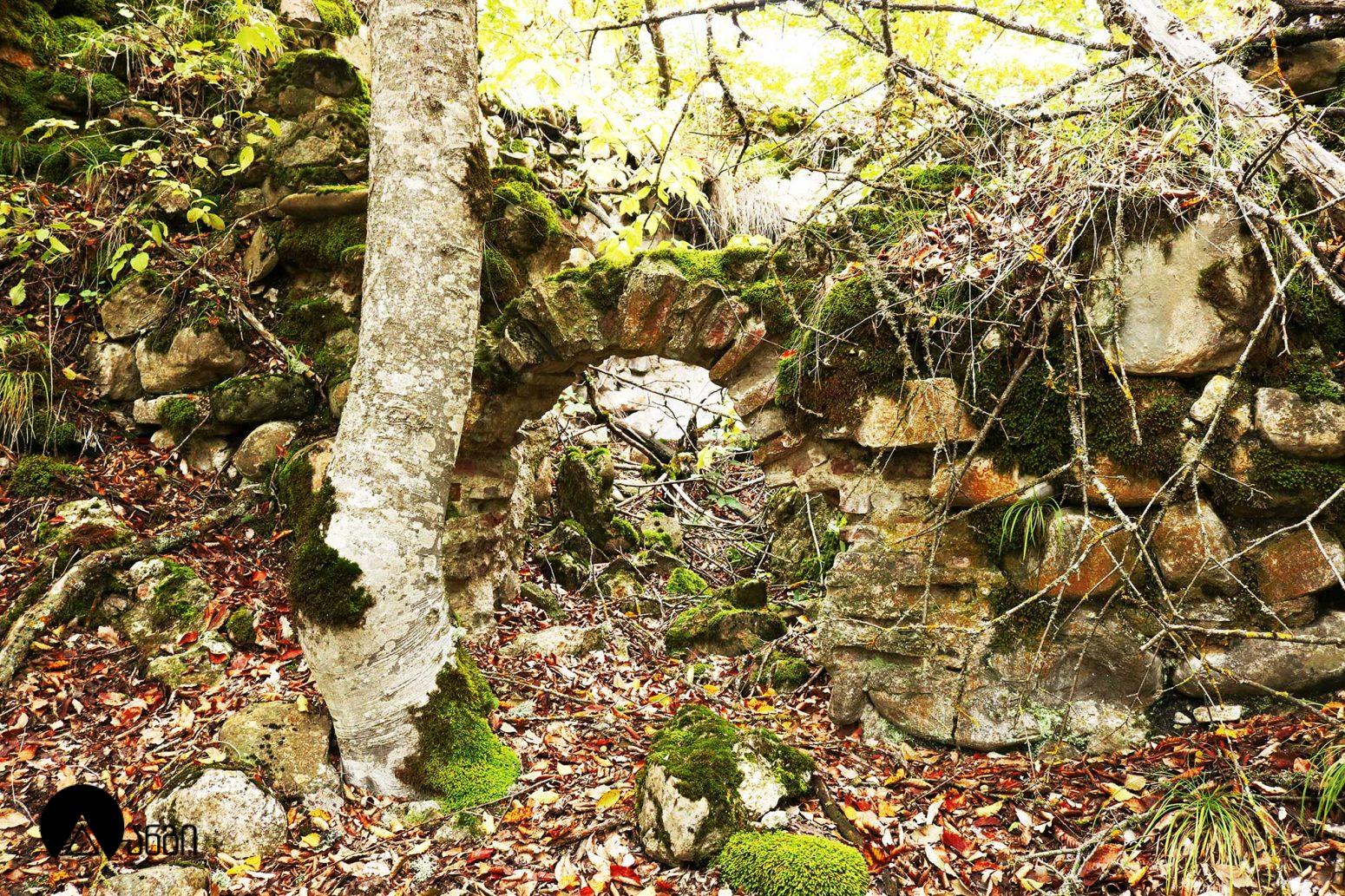 ბადაანის ცხრაკარა