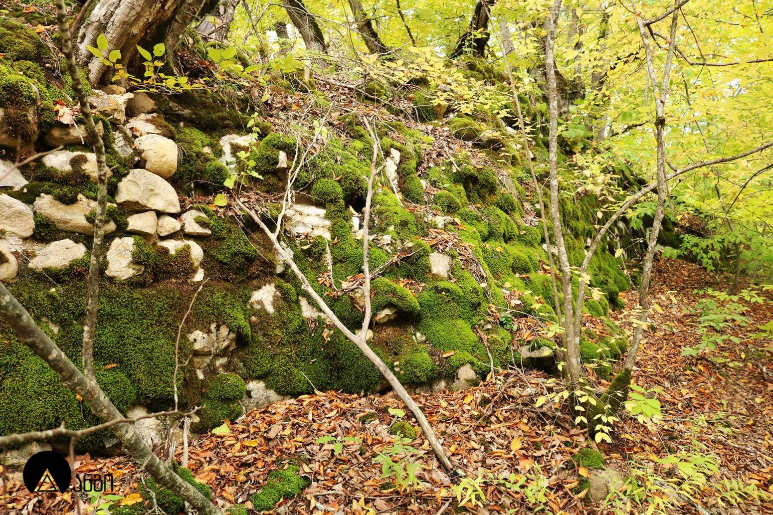 ბადაანის ცხრაკარა