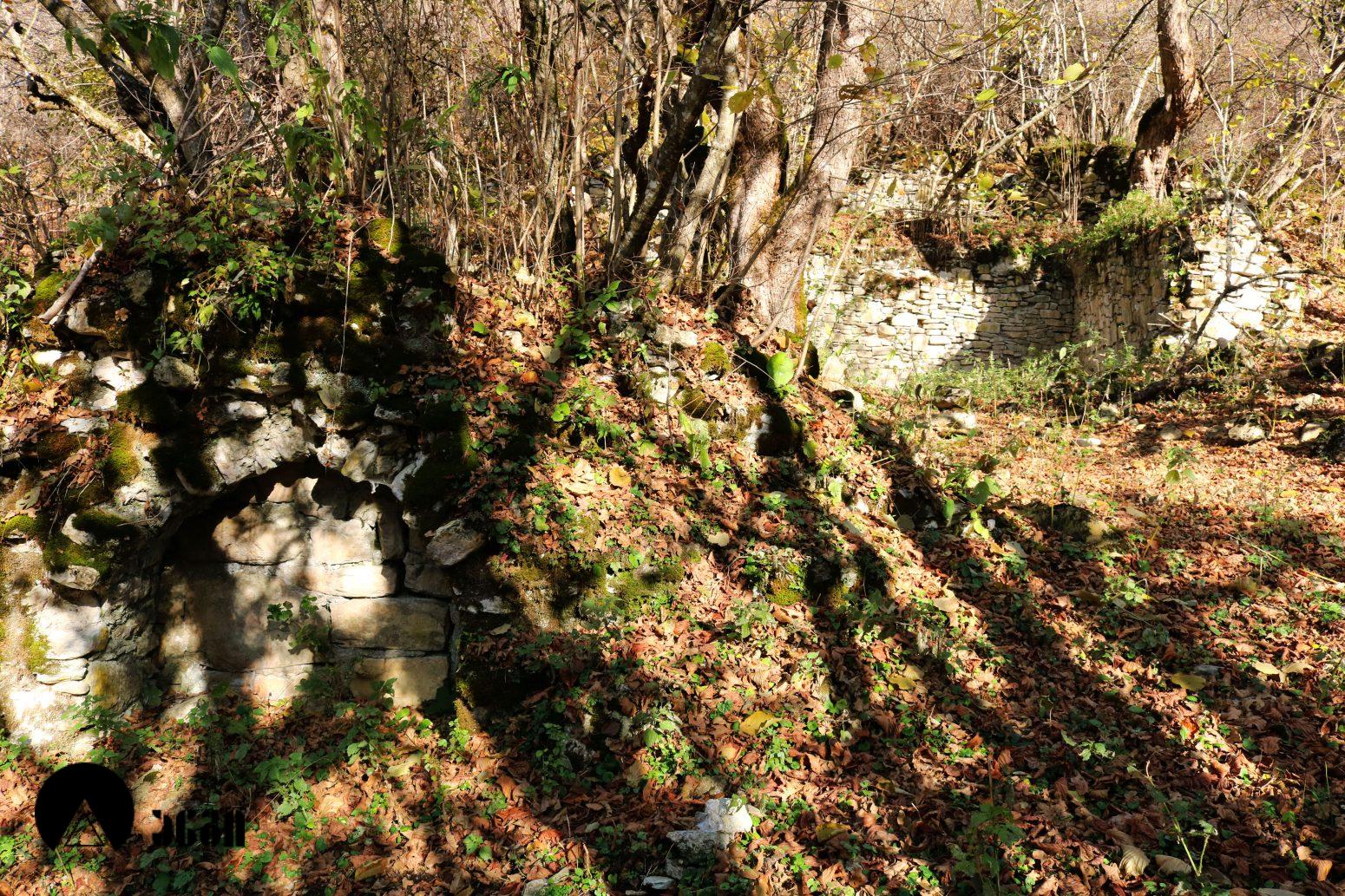 მოლამურის კომპლექსი