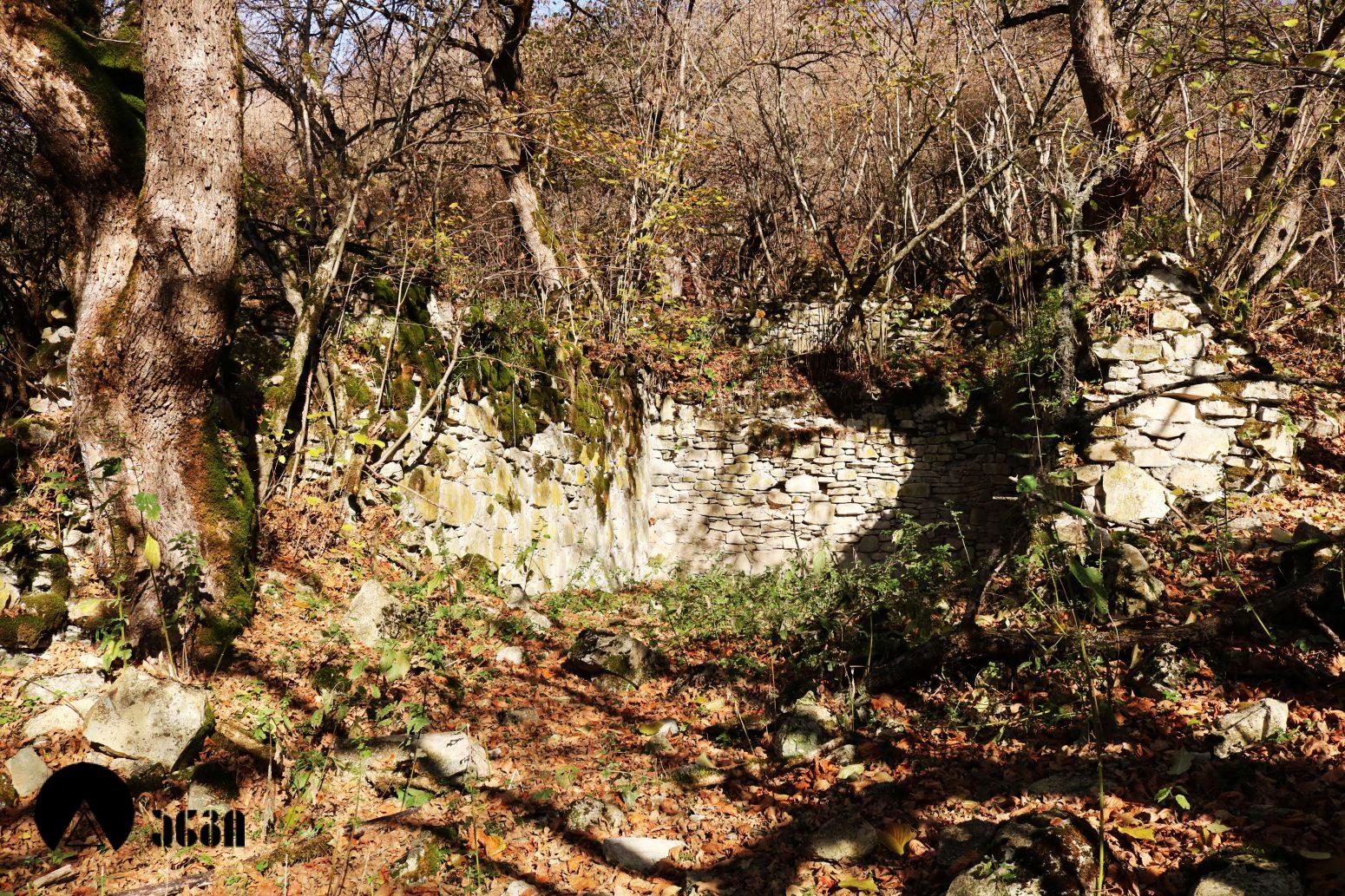 მოლამურის კომპლექსი