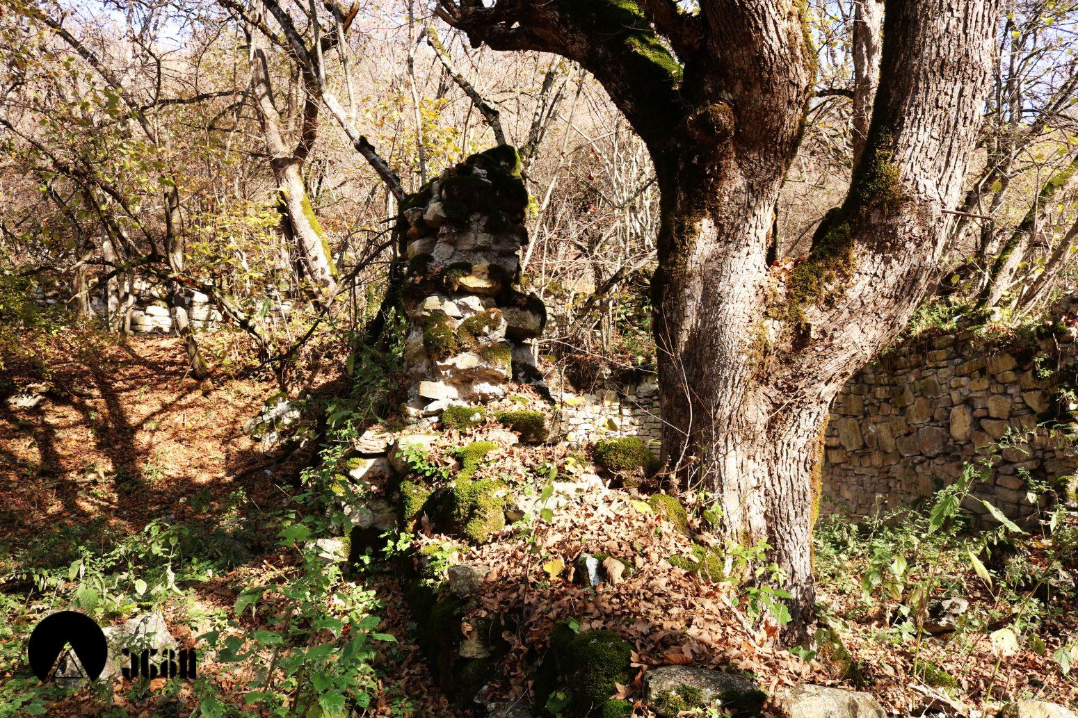 მოლამურის კომპლექსი