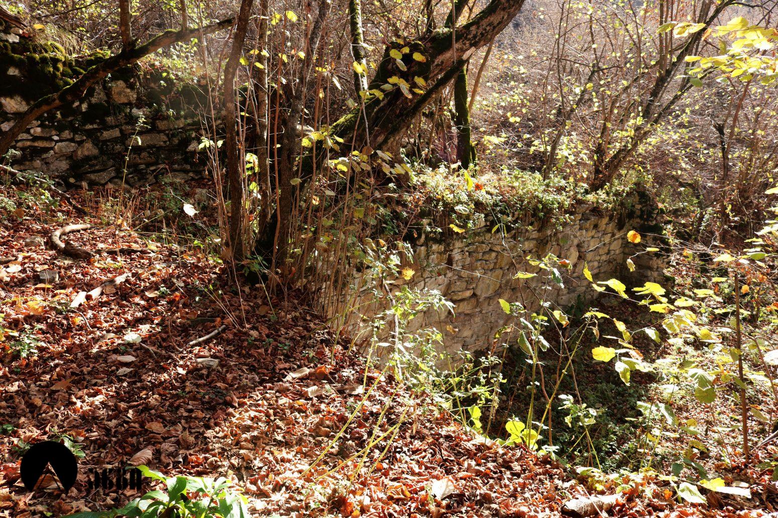 მოლამურის კომპლექსი