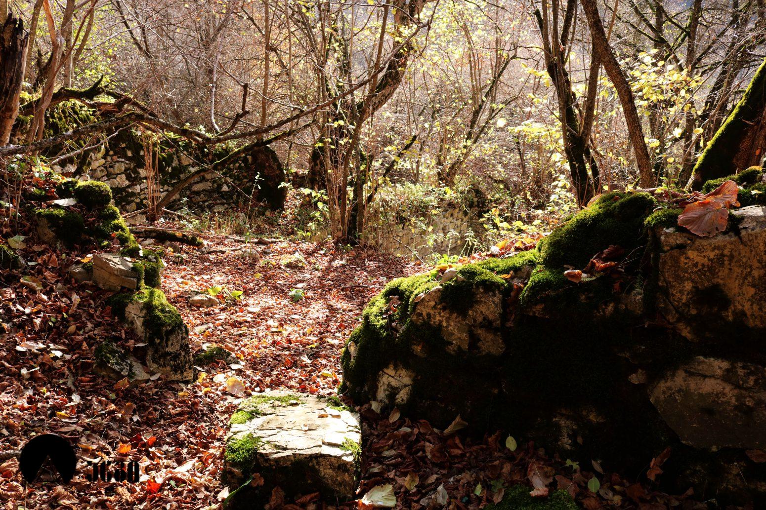 მოლამურის კომპლექსი