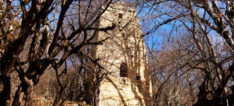 მოლამურის კომპლექსი მოლამურის კომპლექსი