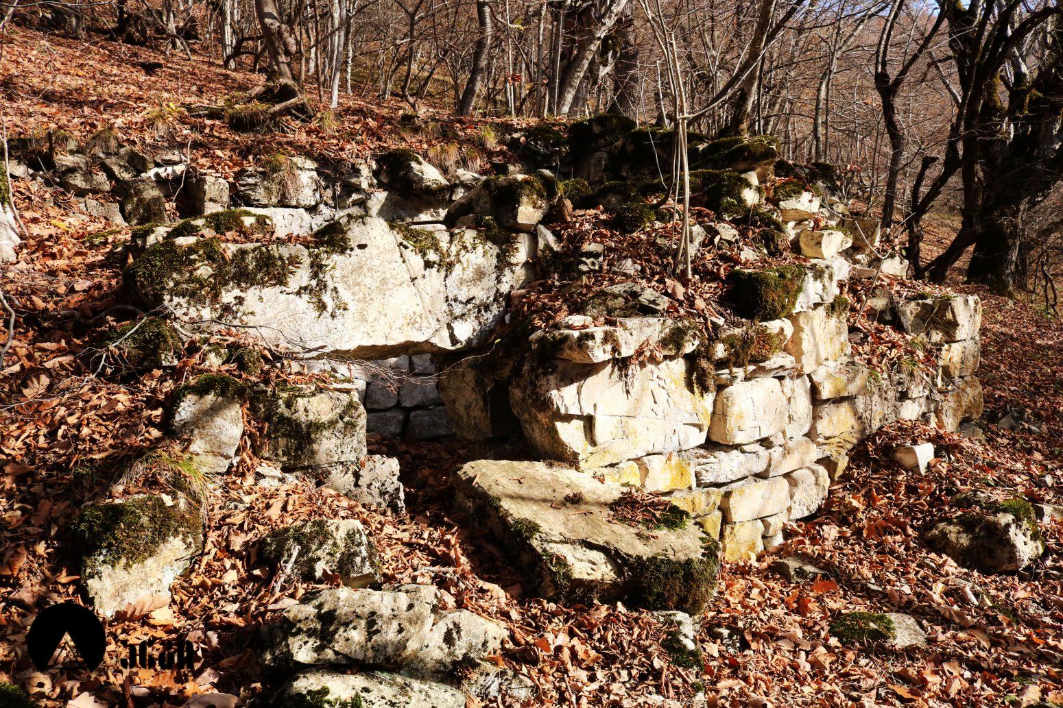 მოლამურის კომპლექსი