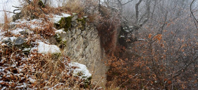 ცხირეთის ციხე ცხირეთის ციხე