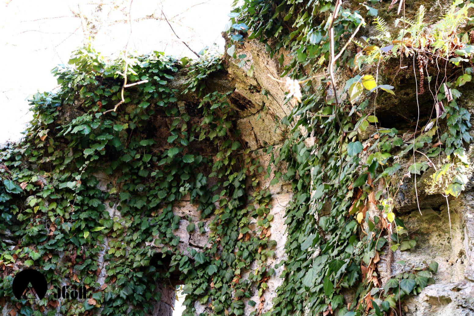 დევისხვრელის ეკლესია