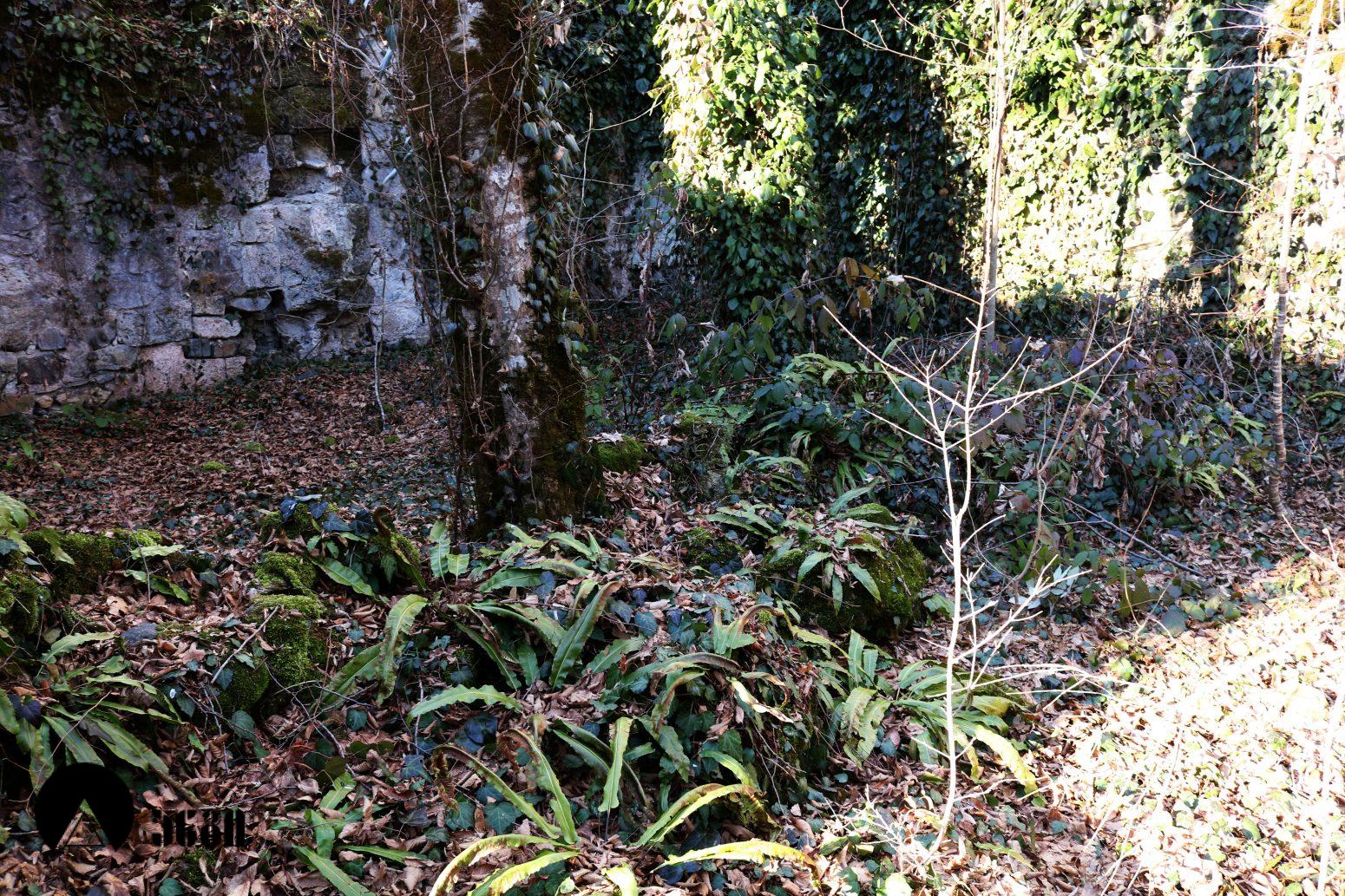 დევისხვრელის ეკლესია